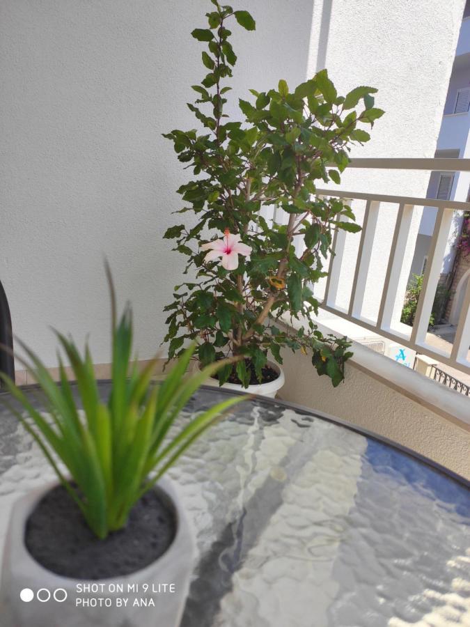 Apartments Jadranka Μακάρσκα Εξωτερικό φωτογραφία
